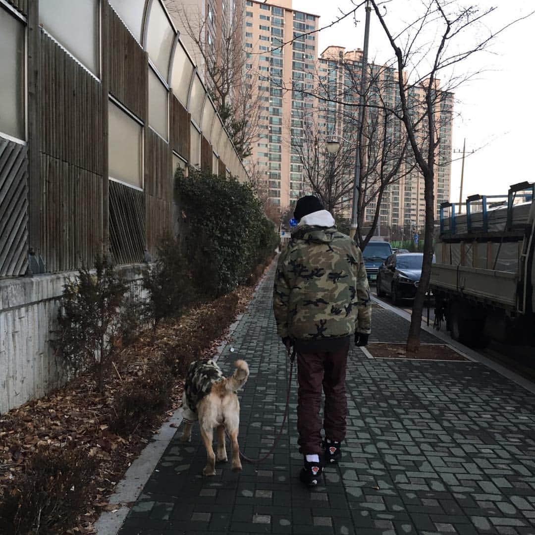 ダリ のインスタグラム：「🐕🚶」