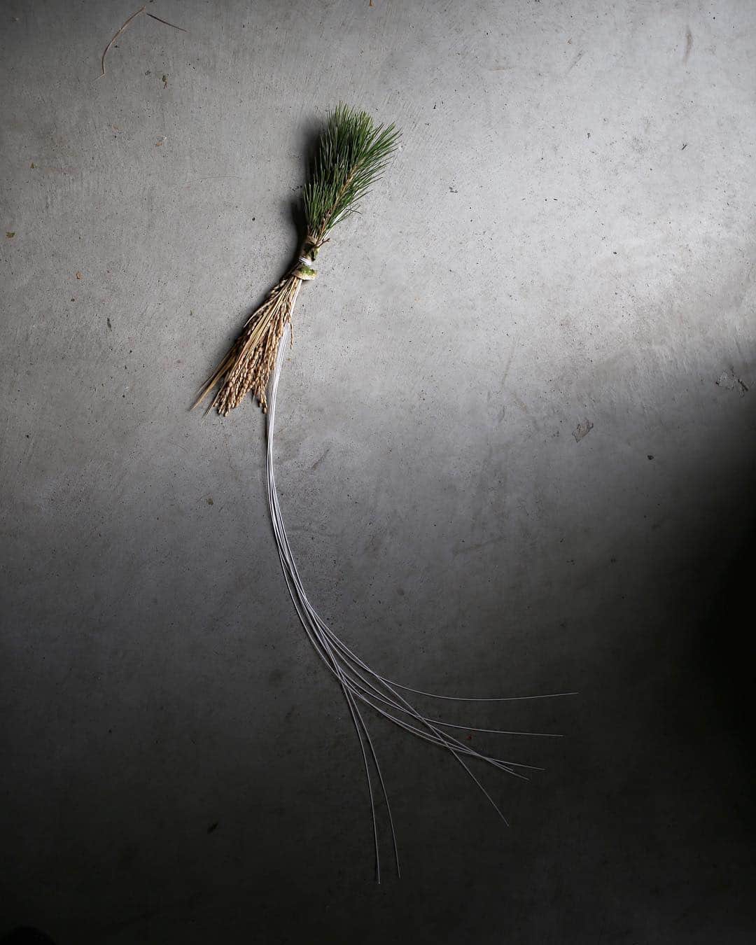 Tomohide Furuyaのグルメインスタ