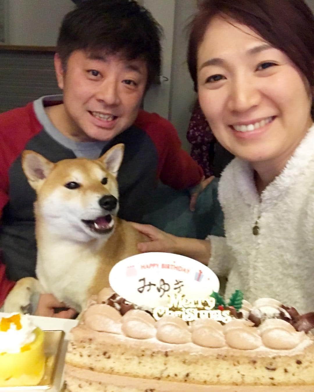 高橋みゆきのインスタグラム：「クラ吉が「早く食べさせろ〜💨」って言ってるやつ🐶💕🤤🍰 #クラ吉 #我慢 #犬語わかるよ」
