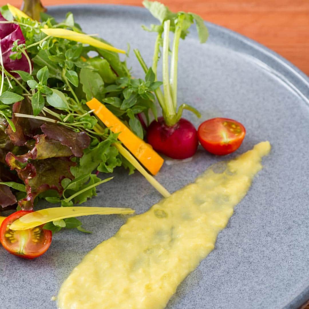 SION canteen&のインスタグラム：「. SION canteen& . 島根県奥出雲 影山農園サラダ . 無農薬、有機栽培のお野菜を使ったSIONの野菜料理の数々😊 . #SION #sioncanteen #シオン #キャンティーンアンド #大阪 #淀屋橋 #北浜 #本町 #大阪ランチ #ランチ #野菜 #有機野菜 #旬 #食材 #季節 #料理 #ワイン #洋食の新しい形 #木 #温もり #空間 #無農薬 #有機栽培 #野菜 #vegetables #島根 #奥出雲 #影山農園」