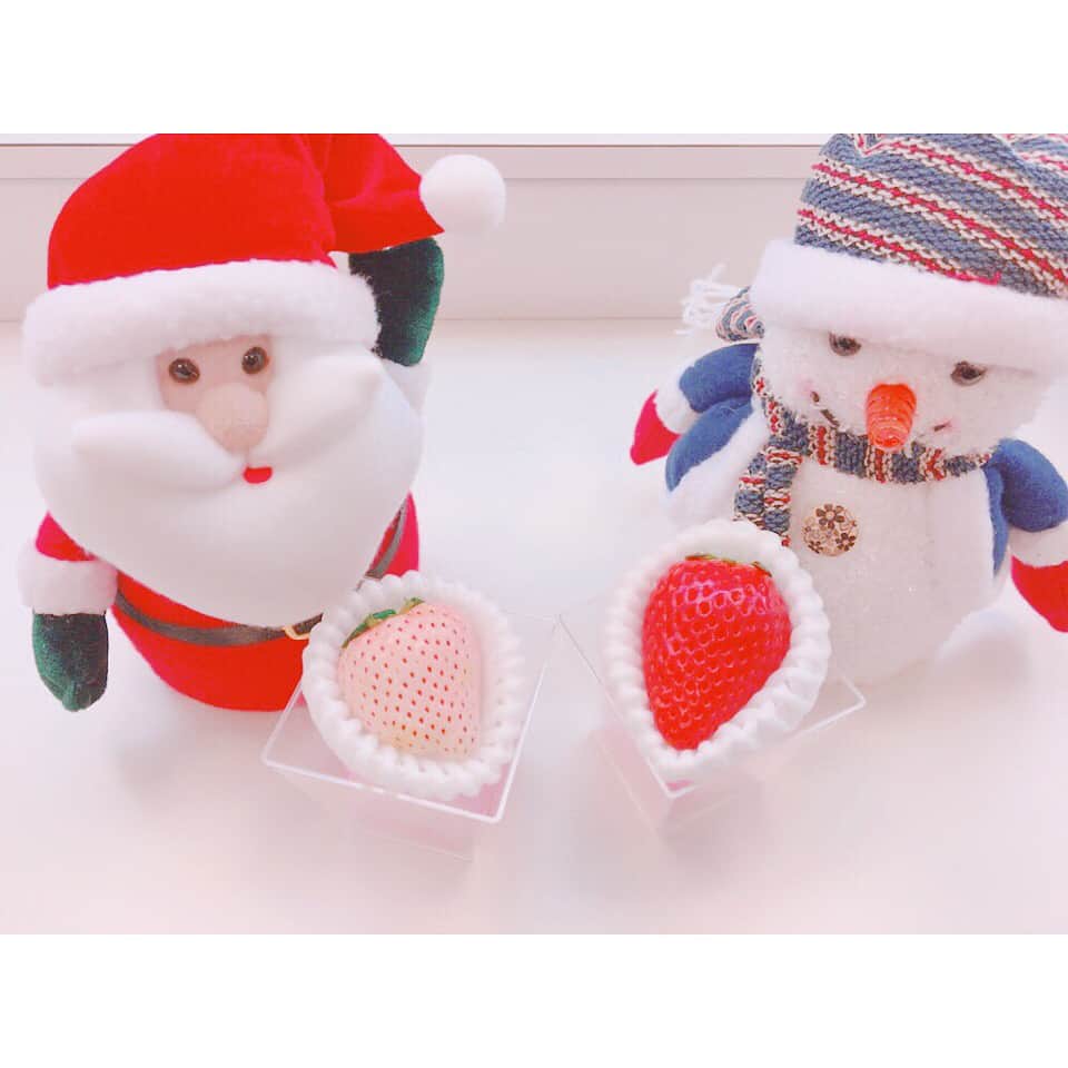 小栗有以さんのインスタグラム写真 - (小栗有以Instagram)「メリークリスマス…🎄🎁 . . #12月25日🍓💭」12月27日 10時19分 - yuioguri_1226