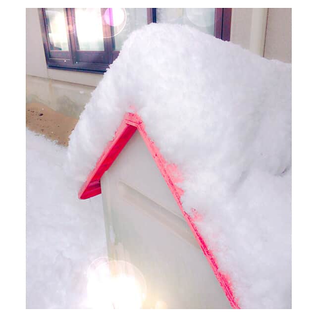 夢咲ねね（赤根那奈）さんのインスタグラム写真 - (夢咲ねね（赤根那奈）Instagram)「snow day❄️✨ · · #❄️ #☃️ #雪 #snow #しゃべ先生 #😊 #雪好き #寒いけど #👍✨ #雪国 #🐶 #チワ狆 #LOVEDOG」12月27日 13時20分 - yumesaki__nene