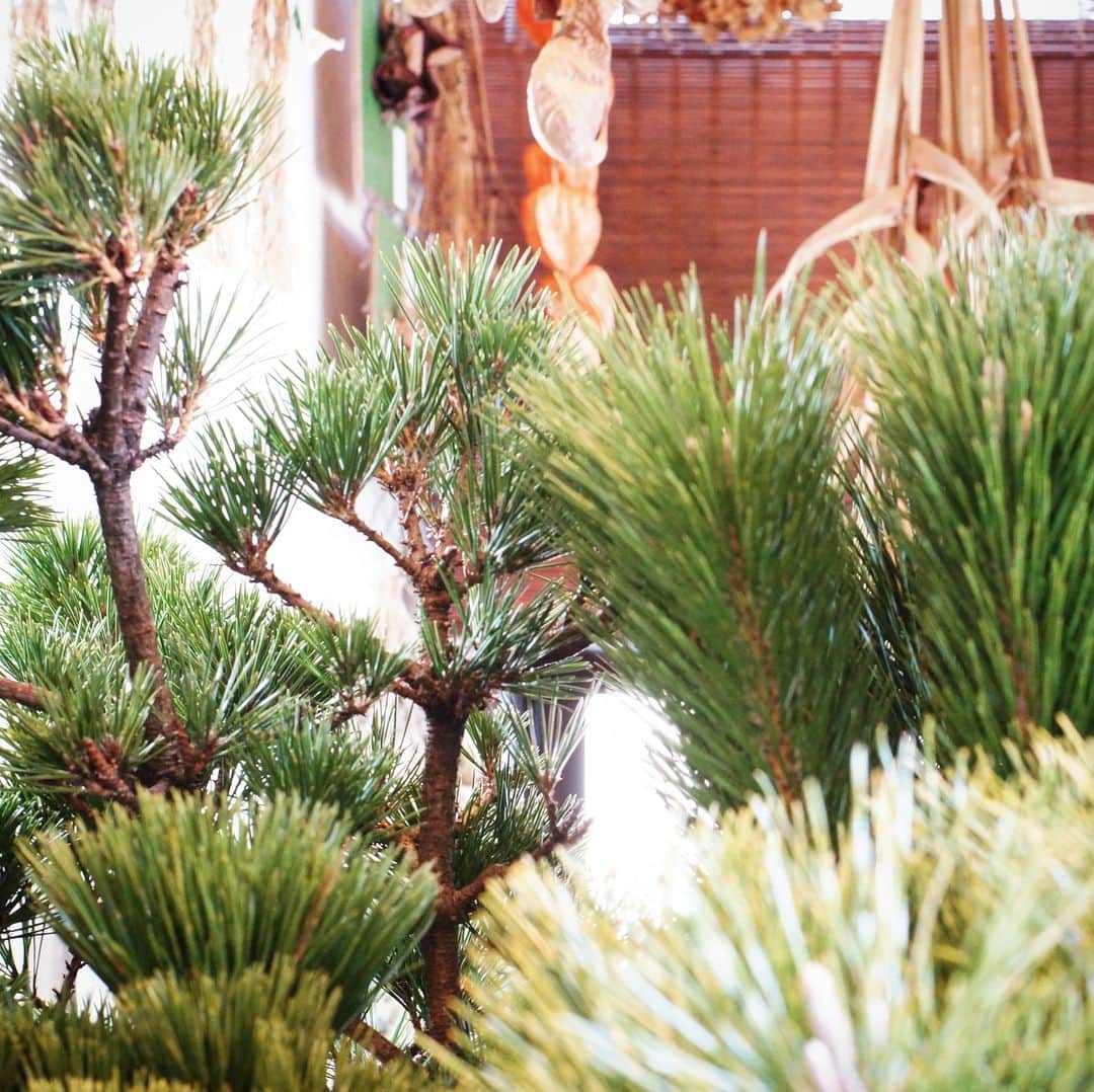 MILLE ECLAT.のグルメインスタ