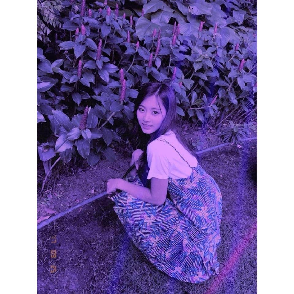 TWICEさんのインスタグラム写真 - (TWICEInstagram)「구찌가 나쁜사람들 다 잡을거니 원스들 안 무서워도 돼요😎 酷吉會幫我們抓壞蛋們 ONCE不用怕了😎 그리고 내일 가요대제전에서 봬요~ #챙작가#2017가요대제전」12月27日 15時37分 - twicetagram