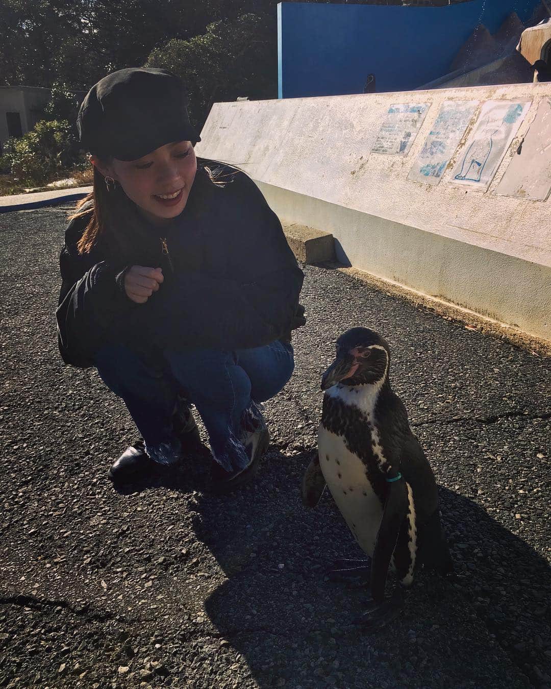 misaki saitoのインスタグラム：「🐧🐧🐧💓 . #japan #animal #penguin #cute #boy #girl #time #sun #inubosaki #instagood #instapic #happy #dayoff #l4l #水族館 #犬吠埼 #この子自分をペンギンだと思ってないらしい」