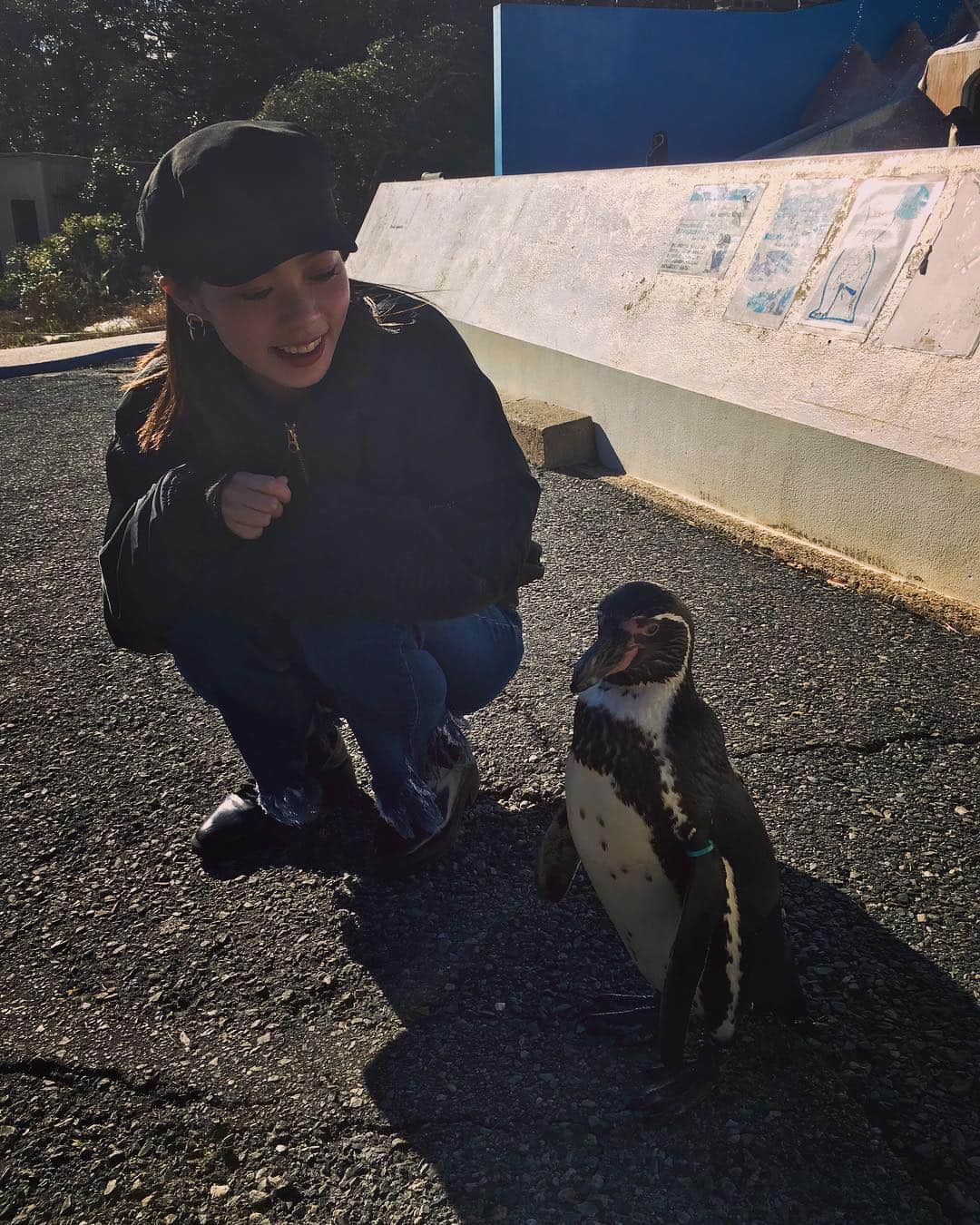 のインスタグラム：「🐧🐧🐧💓 . #japan #animal #penguin #cute #boy #girl #time #sun #inubosaki #instagood #instapic #happy #dayoff #l4l #水族館 #犬吠埼 #この子自分をペンギンだと思ってないらしい」