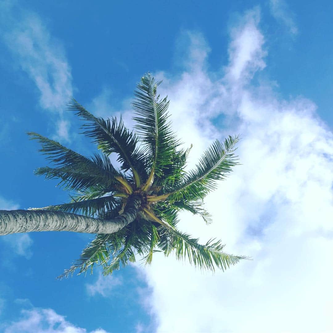 ふかしのインスタグラム：「#Hawaii #hanauma #beach」