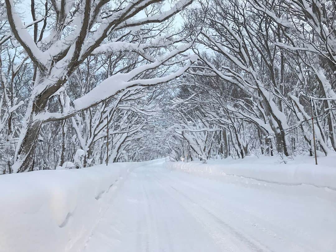 高橋壱晟のインスタグラム：「今日の景色。  冬はまだ始まったばかりです…笑」