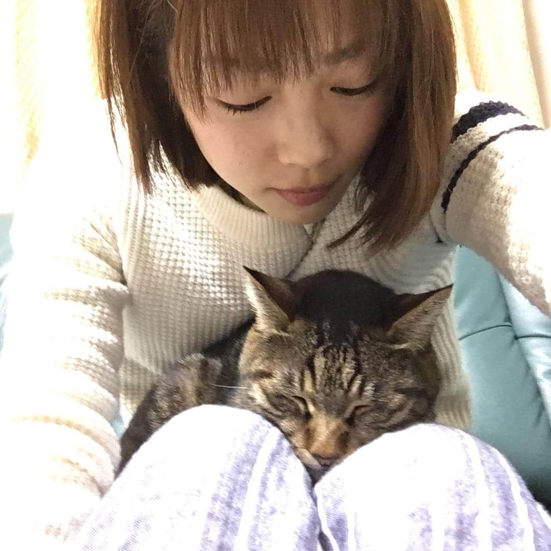高橋春花さんのインスタグラム写真 - (高橋春花Instagram)「ねこ。ねる。 暖かいけど動けない。 久々に会って、若干忘れられてる感があります。 #猫 #高橋春花#HTB」12月28日 18時14分 - htb_takahashiharuka