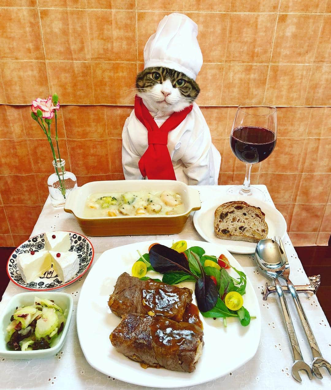 マロさんのインスタグラム写真 - (マロInstagram)「🍴Today's menu🍴 ・シーフードのホワイトシチュー (Seafood of white stew) ・肉巻き豆腐ステーキ (Meat wrapped tofu steak) ・キクラゲとセロリのエスニック風  酢の物 (Cloud ear mushroom and celery ethnic vinegared sauce) ・カマンベールチーズ (Camembert cheese) ★ 【料理猫マロ】週めくり卓上カレンダー (扶桑社)発売中‼️ よろしくお願いしますニャン🐈💞 ★ いつもコメントありがとうございます😸🙏💕 返信出来なくてすみません🙇‍♀️ 全て拝見しています🐾 ★ Thank you for your kind comments😸🙏💕 I’m sorry that I couldn’t reply. ★ #cat#cats#catsofinstagram#catstagram#food#chef#wine#cheese#ねこ #猫#ネコ#にゃんすたぐらむ#みんねこ #ふわもこ部#シェフ#ワイン#料理 #料理猫マロ#カレンダー」12月28日 21時37分 - rinne172