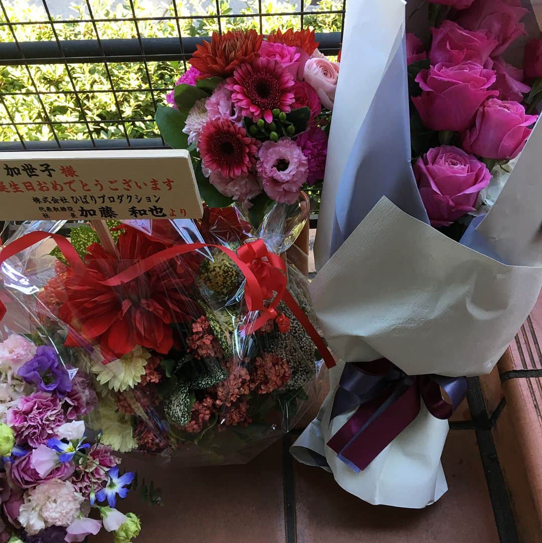 岸本加世子さんのインスタグラム写真 - (岸本加世子Instagram)「今日の誕生日に沢山のプレゼント🎁とお花💐を頂きました。何回も誕生日会をして頂き本当にありがとうございます。」12月29日 20時25分 - kayokokishimoto