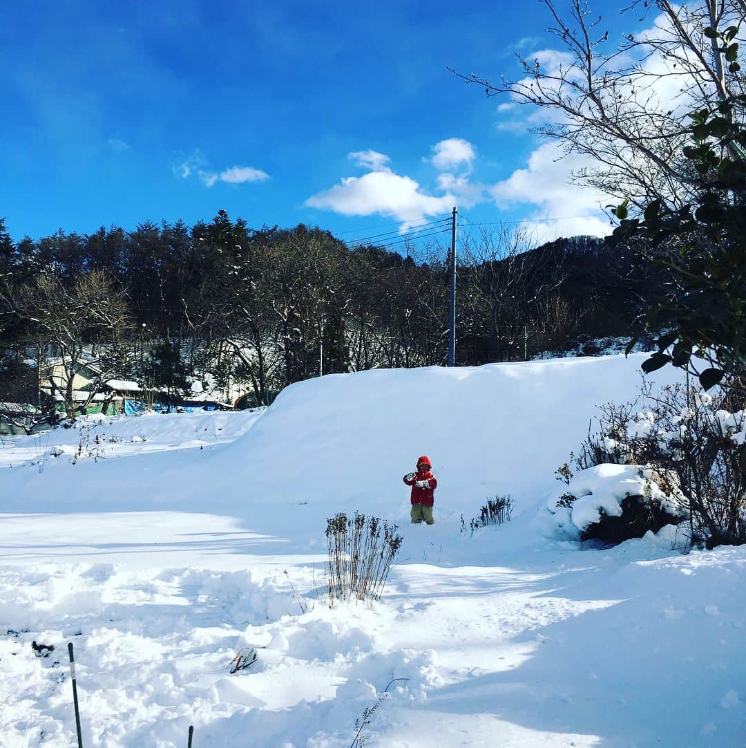 木下あゆ美さんのインスタグラム写真 - (木下あゆ美Instagram)「雪があるだけで楽しい😙  長男、大はしゃぎ。ずっと外にいる笑  #群馬 #雪 #今年は寒い  #かまくら作りに夢中」12月30日 12時23分 - ayumi_kinoshita13121982