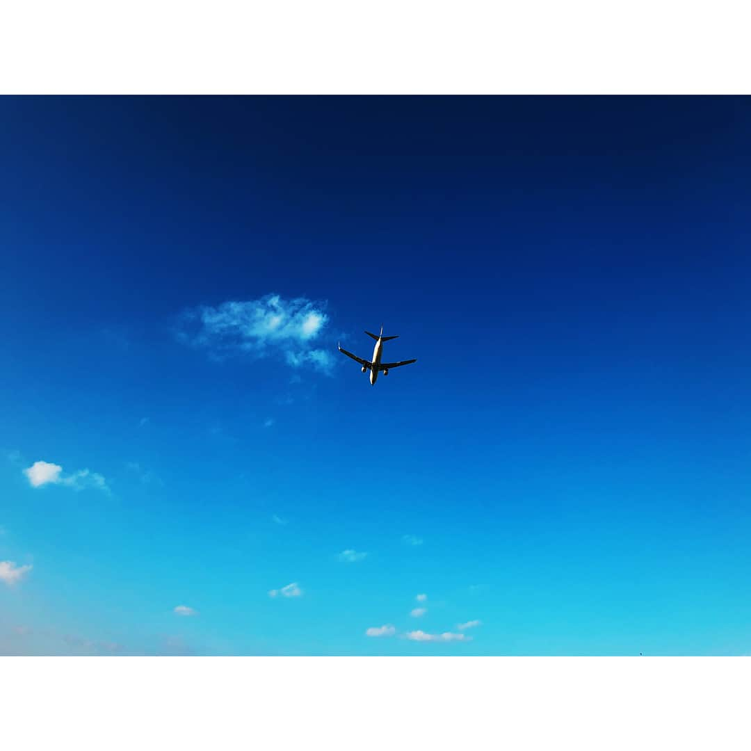 ローラさんのインスタグラム写真 - (ローラInstagram)「Came to Okinawa with my brothers 🦀🌈❤️Blue sky and calm beach makes me being creative👌」12月30日 20時14分 - rolaofficial