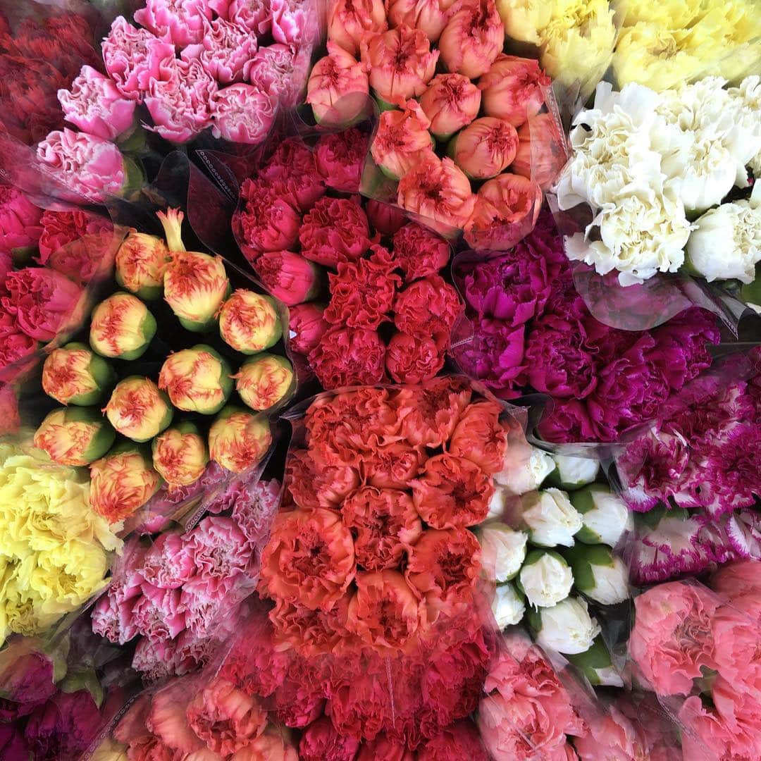 福岡真菜のインスタグラム：「香港Day1 Flower Market Road🌷🌼🌹 バスで会話の弾んだ現地の女性にオススメの場所を伺って行ってみたら！  世界中からお花がたっくさん集まってました👀！ #hongkong #flowermarketroad #🇭🇰」