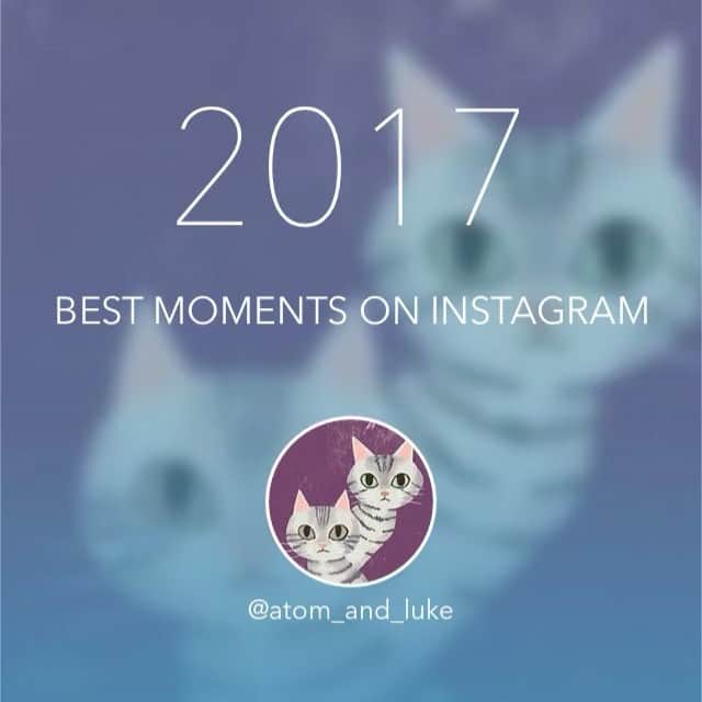 のインスタグラム：「❄️2017大晦日❄️ 今年はずいぶん投稿が少なくなりましたが、アトルーを見てくださった皆様ありがとうございました。どうぞ良い年をお迎えください😊😼😽」