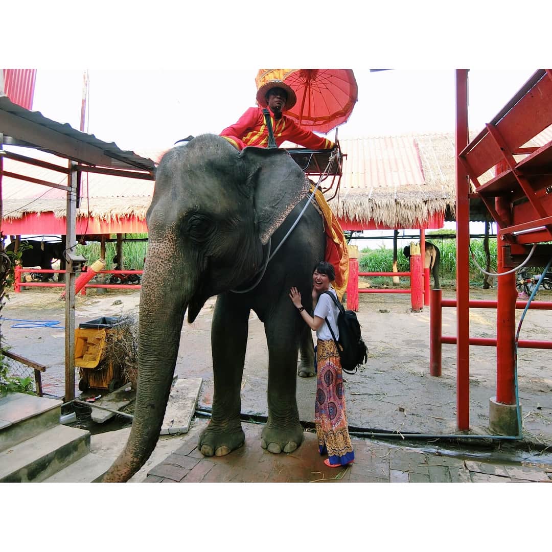 的場絢香さんのインスタグラム写真 - (的場絢香Instagram)「#20171229 ぱおーーーん🐘 象さん乗ったよ！ かわいかった〜♩ ______________________ #マトバの海外旅行記  #タイ#アユタヤ#象 #thailand#ayuttaya  #elephant #🐘」12月31日 11時51分 - ayaka_matoba