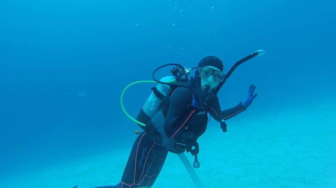 石黒エレナさんのインスタグラム写真 - (石黒エレナInstagram)「新年明けましておめでとうございます🤗 今年もよろしくお願いします🙇‍♀️ #happynewyear #newyear #sea #ocean #diving #diver #padi #opw #decemberdive #funtrip #greattime #kerama #arigacable #海 #ダイバー #ダイビング #ダイビング女子 #ダイビングライセンス #パディ #旅行 #旅行大好き #透明度」1月1日 2時07分 - 08elena05
