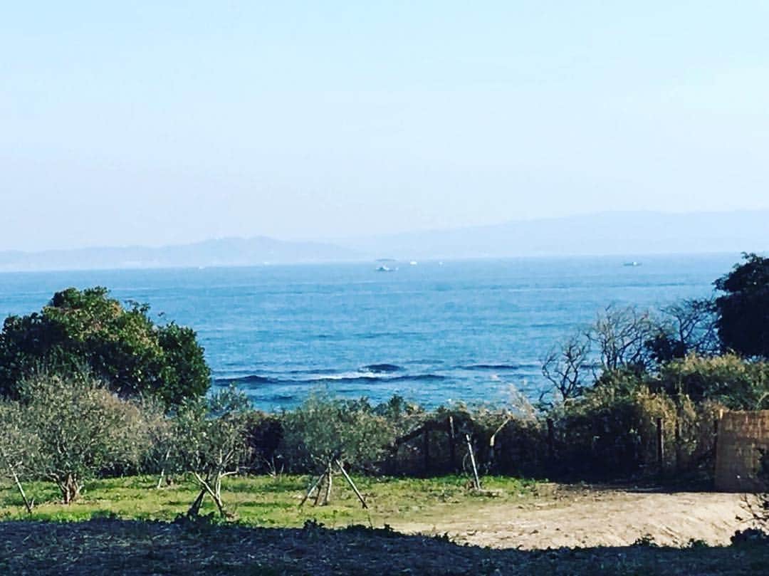 横浜流星さんのインスタグラム写真 - (横浜流星Instagram)「今年も沢山の作品や沢山の方に出会え、 日々色々な感情を感じ、充実した一年でした。 感謝の気持ちで一杯です。 来年も感謝の気持ちを忘れず、向上心を持って上を目指します。 宜しくお願いします。  #2017年 #ありがとう #明日はスカッとジャパン！ #2018年も #よろしくお願いします。」12月31日 17時24分 - ryuseiyokohama_official