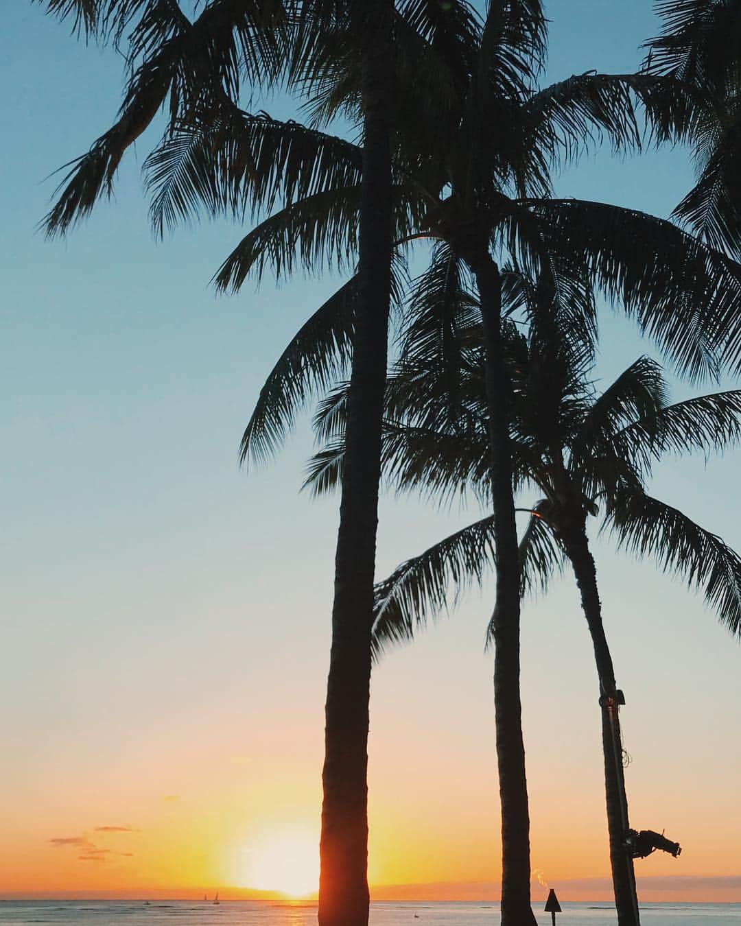 里見茜さんのインスタグラム写真 - (里見茜Instagram)「どこを見渡しても絵になるHawaii🌴 夕日って見てるだけで癒されるのはなんでだろう D&Jとも合流できたし、明日も一緒だ♡ この4人やっぱり落ち着くな。 とにかく楽な #honuandmonkey 🐢🙈💕love #hawaii #sunset」12月31日 17時45分 - satomiakane