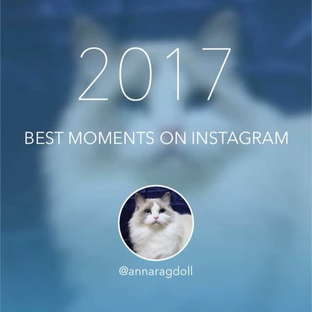 アンナのインスタグラム