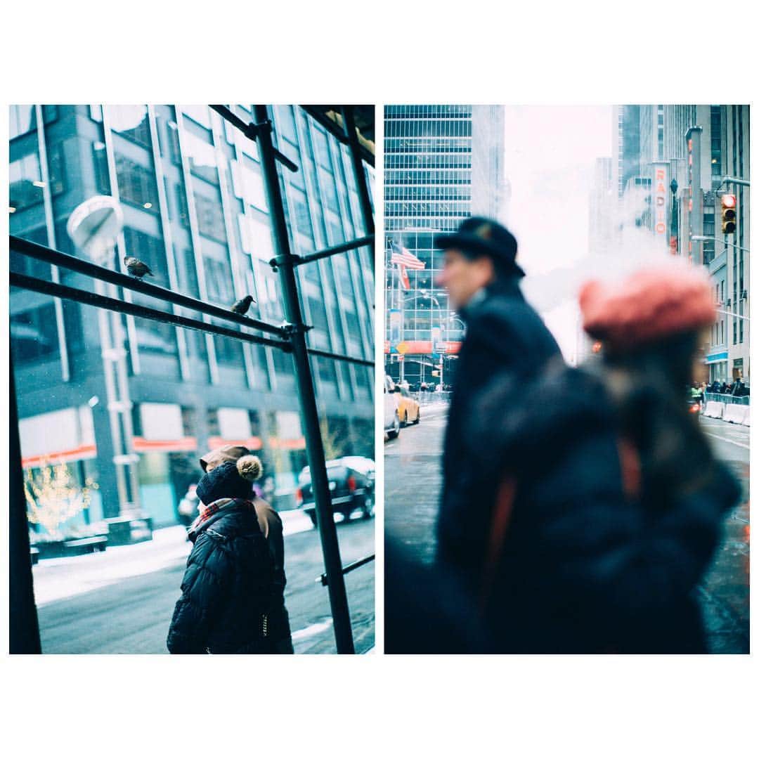三瓶康友のインスタグラム：「Everyone wears something on the heads. #NewYork #nyc #cap #hat #head #bird #snow #cold #street #car」