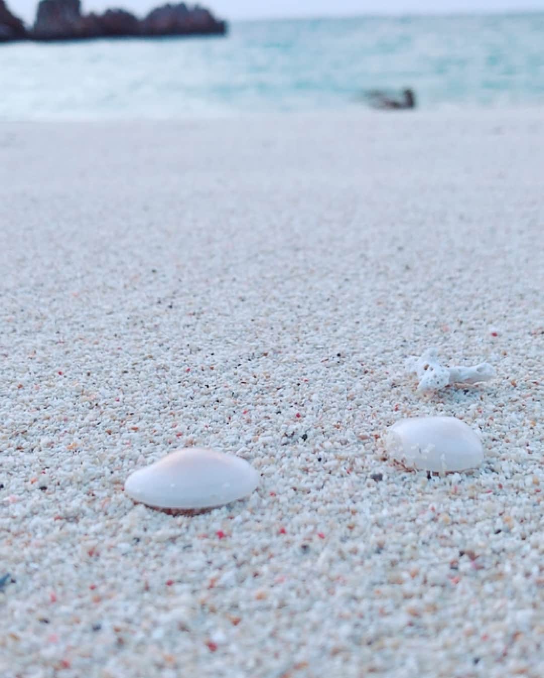 大谷芽衣さんのインスタグラム写真 - (大谷芽衣Instagram)「・ ・ ・ 今年はたくさん沖縄行きたい！ たくさんたくさん遊ぶぞー！ ・ ・ #2018 #目標 #遊び倒す #沖縄が好き #海が好き」1月1日 20時18分 - otani_mei
