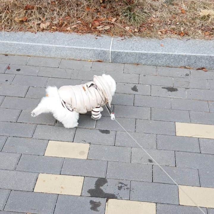 thesoy_yoonsoのインスタグラム