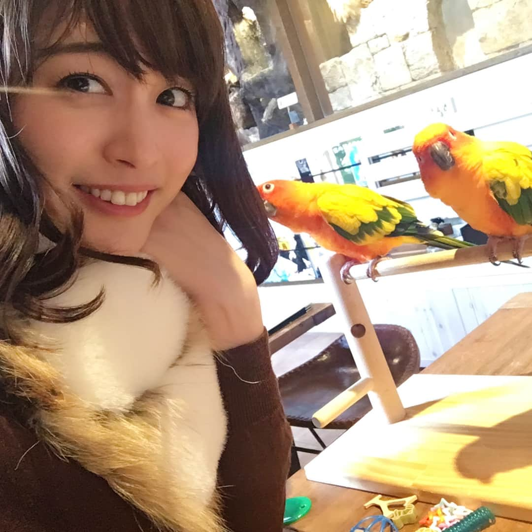 新井恵理那さんのインスタグラム写真 - (新井恵理那Instagram)「きのう、ふらっと立ち寄った鳥カフェで…♪( ^ω^ )ぁ〜〜癒し( ´∀｀)♪♪ #鳥カフェ #インコ #ミミズク #新井恵理那」1月16日 10時07分 - elina_arai