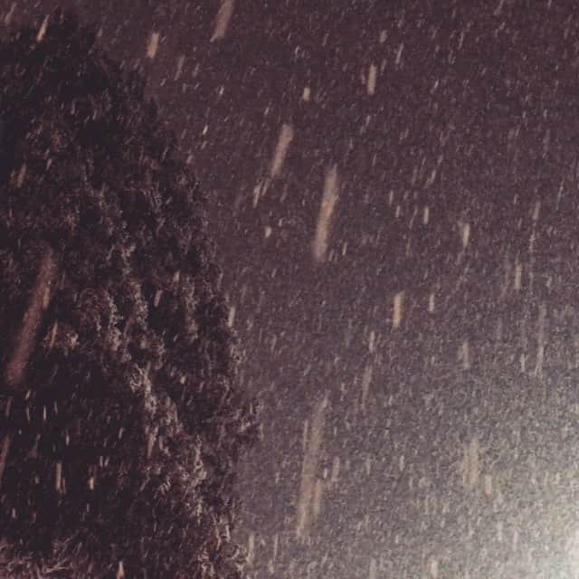 澤口麻理のインスタグラム：「#雪#盛岡」