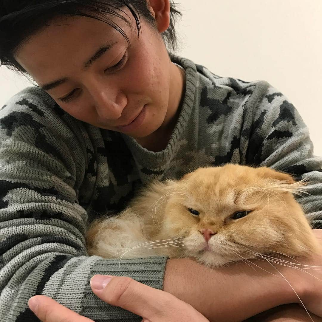 伊藤祐介のインスタグラム：「明けましておめでとうございます。 実家でゆっくりしてます。 猫が可愛すぎる。 今年もよろしくお願いします！  #猫 #ネコ #癒し #帰省 #あけおめ」