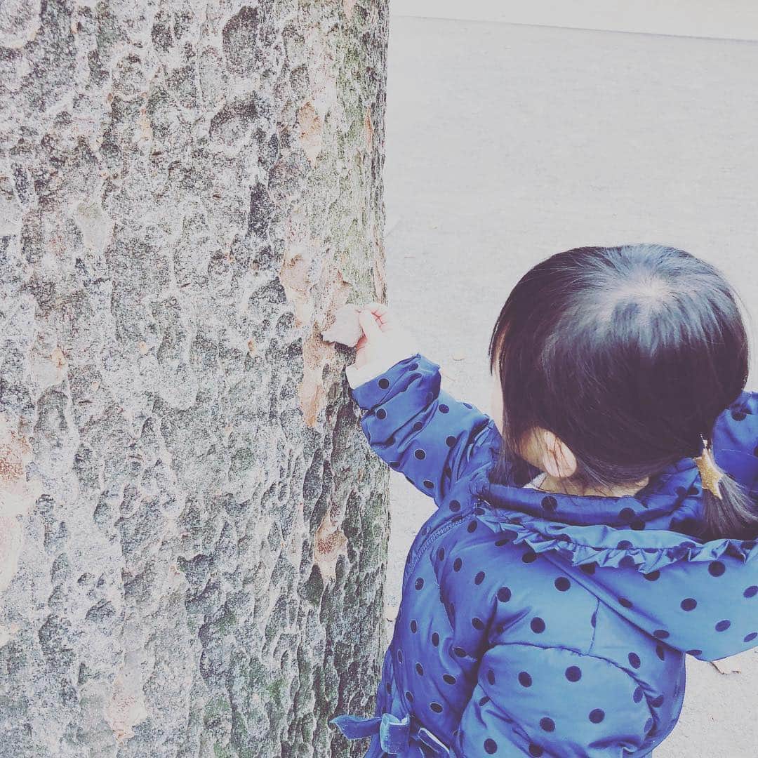 高島彩さんのインスタグラム写真 - (高島彩Instagram)「あけましておめでとうございます🎍本年もよろしくお願いします。 #公園業務 #下に落ちている木の皮 #どこから剥がれたか探す #天然パズル #超難しい💦 #途方にくれる母」1月2日 14時53分 - aya.takashima_official_2021