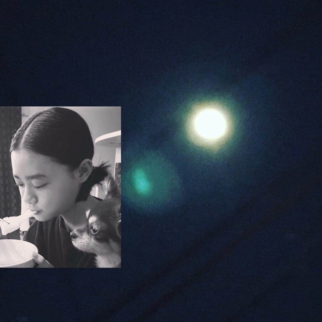 杉咲花のインスタグラム：「あけましておめでとうございます。 昨年はたくさんありがとうございました。 いま、みなさんに早く言いたいことで、いっぱいです。今年 もっと頑張りますので、楽しみに待っていていただけると嬉しいです！ 2018年もよろしくお願いいたします。 写真はおおきな月と、あずきとわたし。」