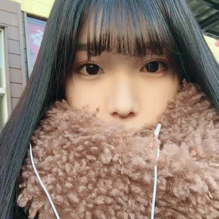 えみ姉のインスタグラム：「ㅤ ㅤ ここ数週間前髪を切るか伸ばすかで悩んでいる... ㅤ ㅤ ここから伸びるのが早すぎだった。 ㅤ ㅤ」