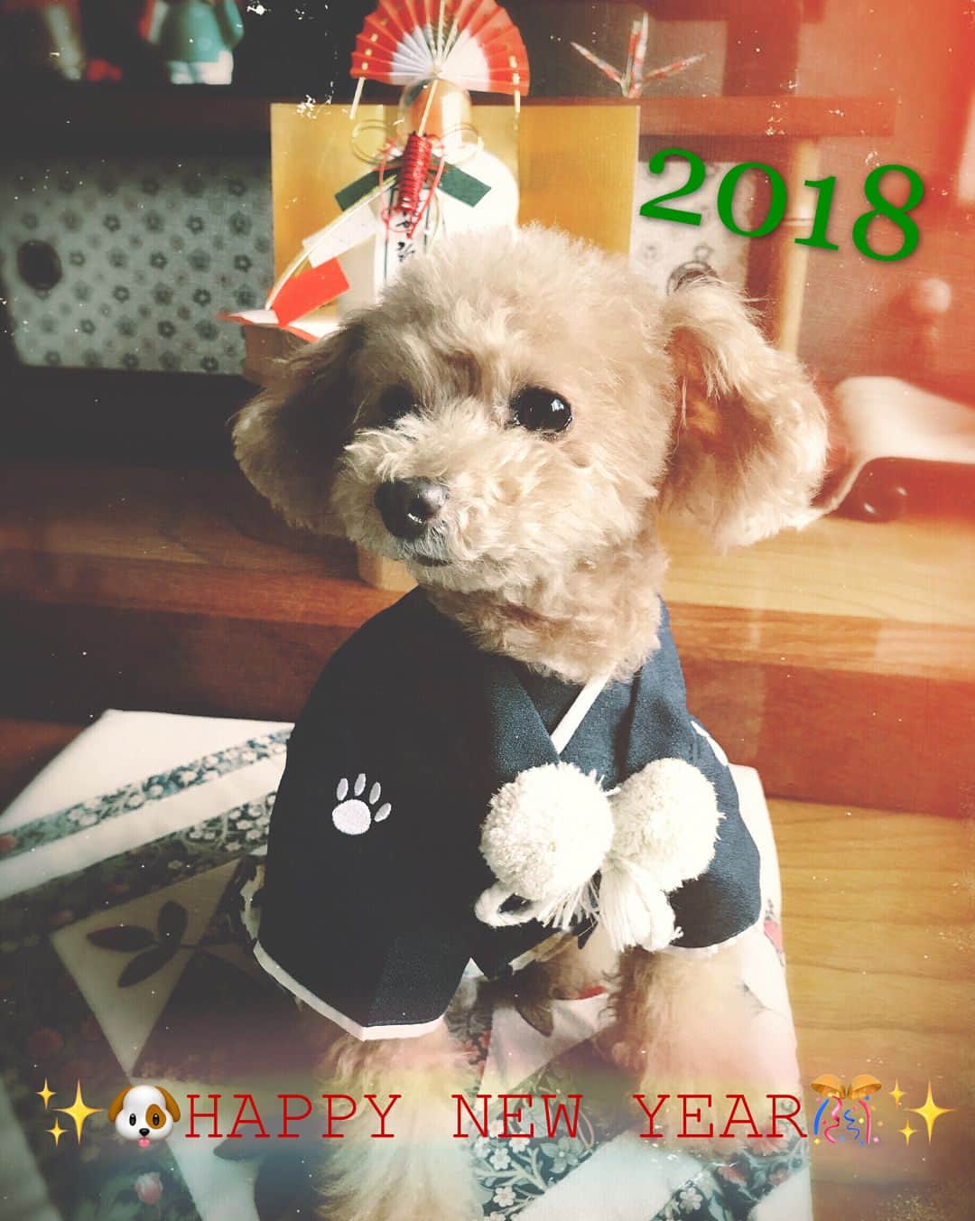 希志あいののインスタグラム：「HAPPY NEW YEAR🎊✨ 明けましておめでとうございます！！ 2017年はたくさんのいいねコメントありがとうございました🙏✨ 2018年もキシスタグラムをよろしくお願い致します🙏💕 ワンダフルで素敵な1年になりますように🐶❤️ふふ #あけおめ #ことよろ #戌年 #袴 #お雑煮」