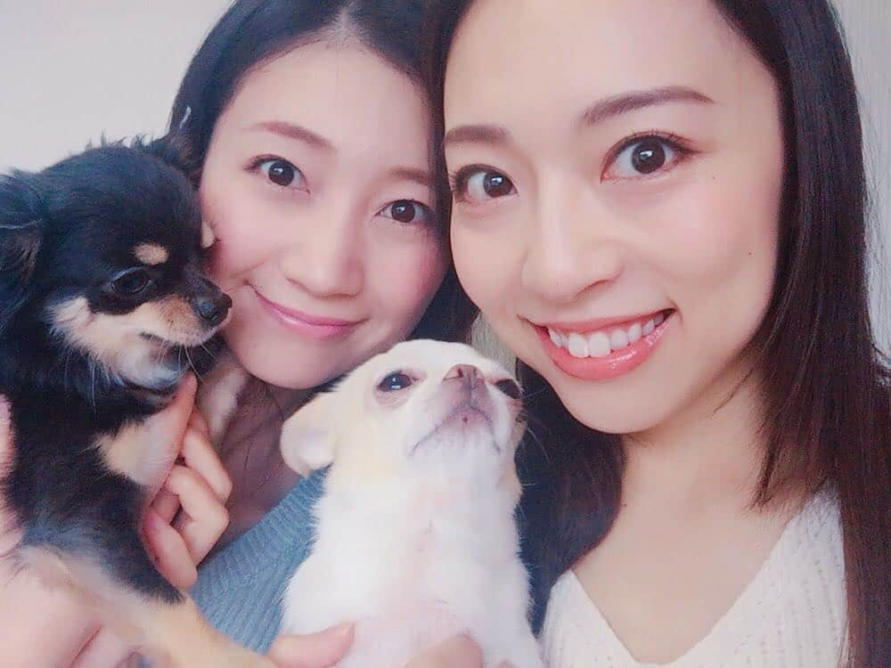 夢咲ねね（赤根那奈）さんのインスタグラム写真 - (夢咲ねね（赤根那奈）Instagram)「💚💛🐶💚💛 · · · #🐶 #dog #チワ狆 #チワワ #姉妹 #Sister #しゃべ #ありぃ #2018 #しゃべとありぃ」1月2日 16時36分 - yumesaki__nene