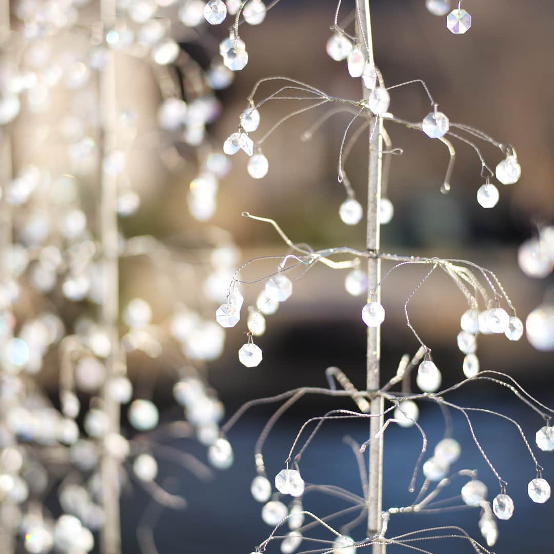 木本泉さんのインスタグラム写真 - (木本泉Instagram)「- クリスタルのガラスツリーを観に🎄・ キラキラ✨・ ・ #箱根ガラスの森美術館  #箱根」1月2日 19時16分 - izumikimoto