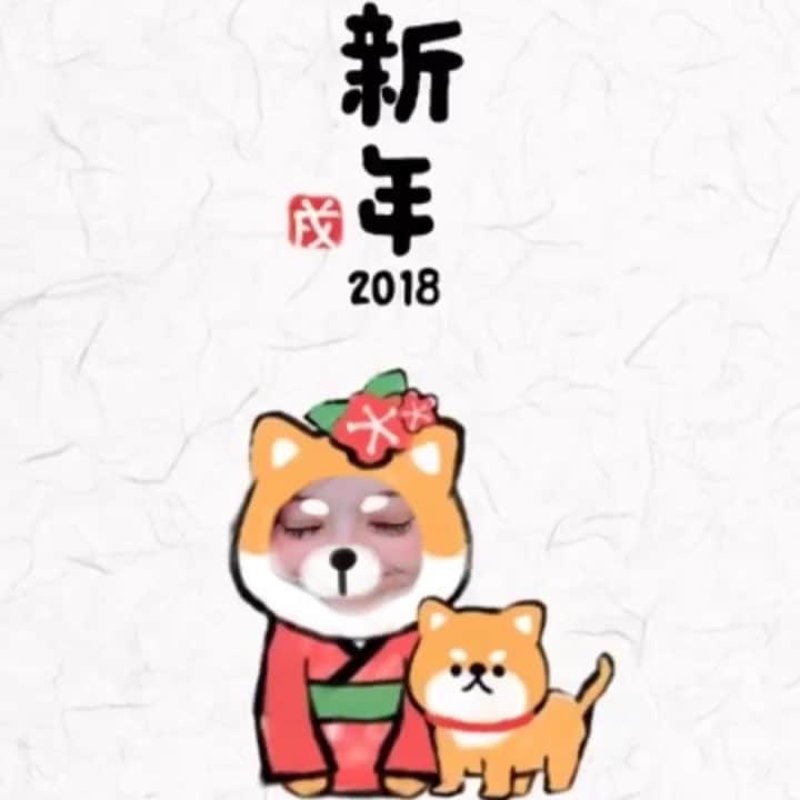 渡辺かなえのインスタグラム：「名古屋より  新年 明けましておめでとうとございます❤️ 今年も宜しくお願いします🐶❤️」