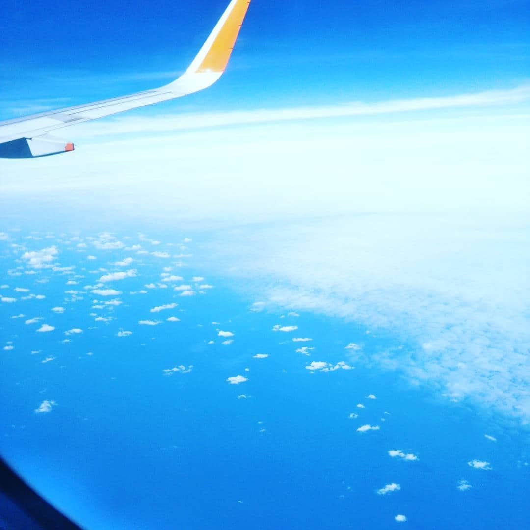 のインスタグラム：「明けましておめでとうございます🎍 一人で移動してます✈️ 海外用の携帯を契約してないからまずは何とかしてホテルまでたどり着かないとなぁ🤔 🏙️4泊5日🌎 #研修」