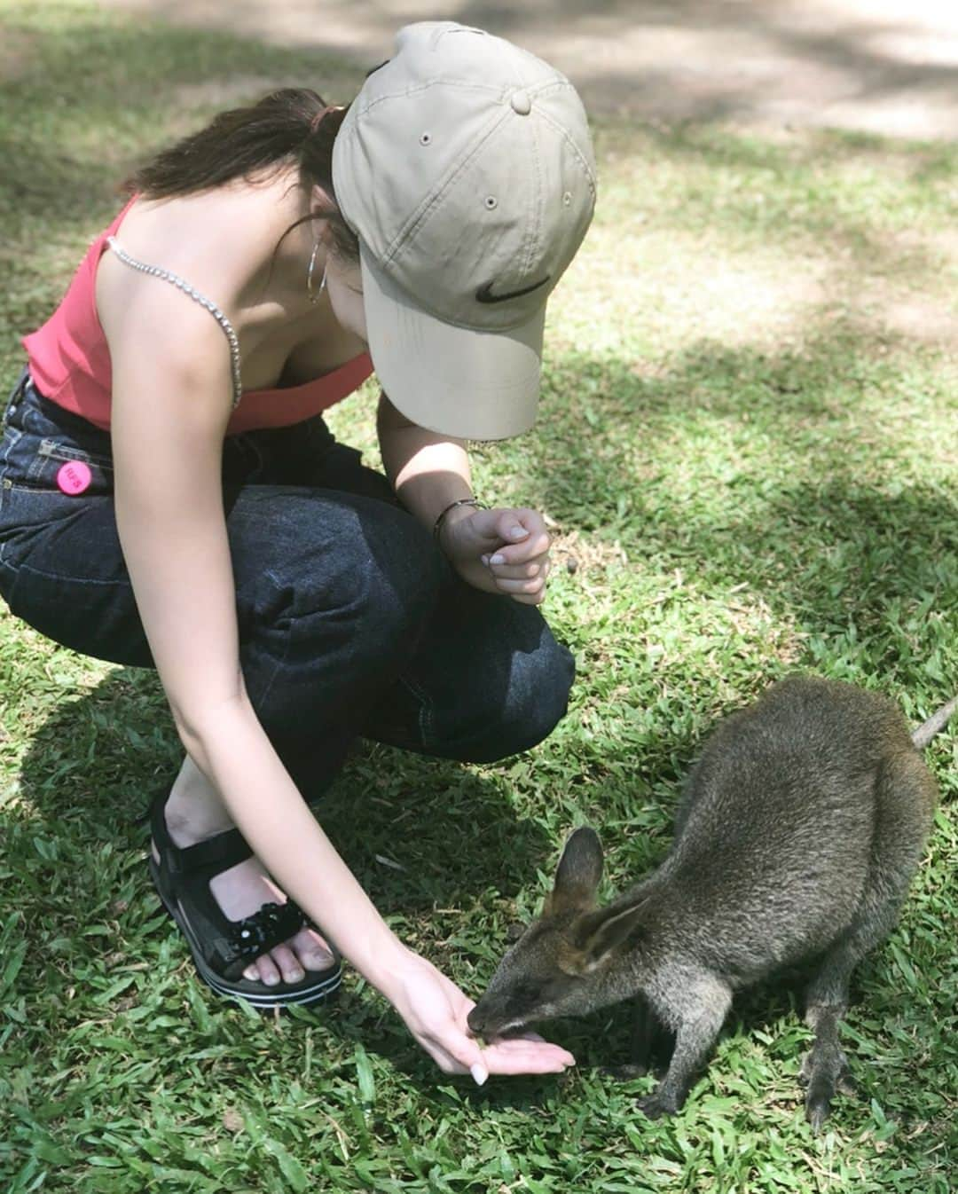 大石絵理さんのインスタグラム写真 - (大石絵理Instagram)「Playing with baby kangaroos❤️ #animallover」1月3日 16時26分 - erioishitokyo