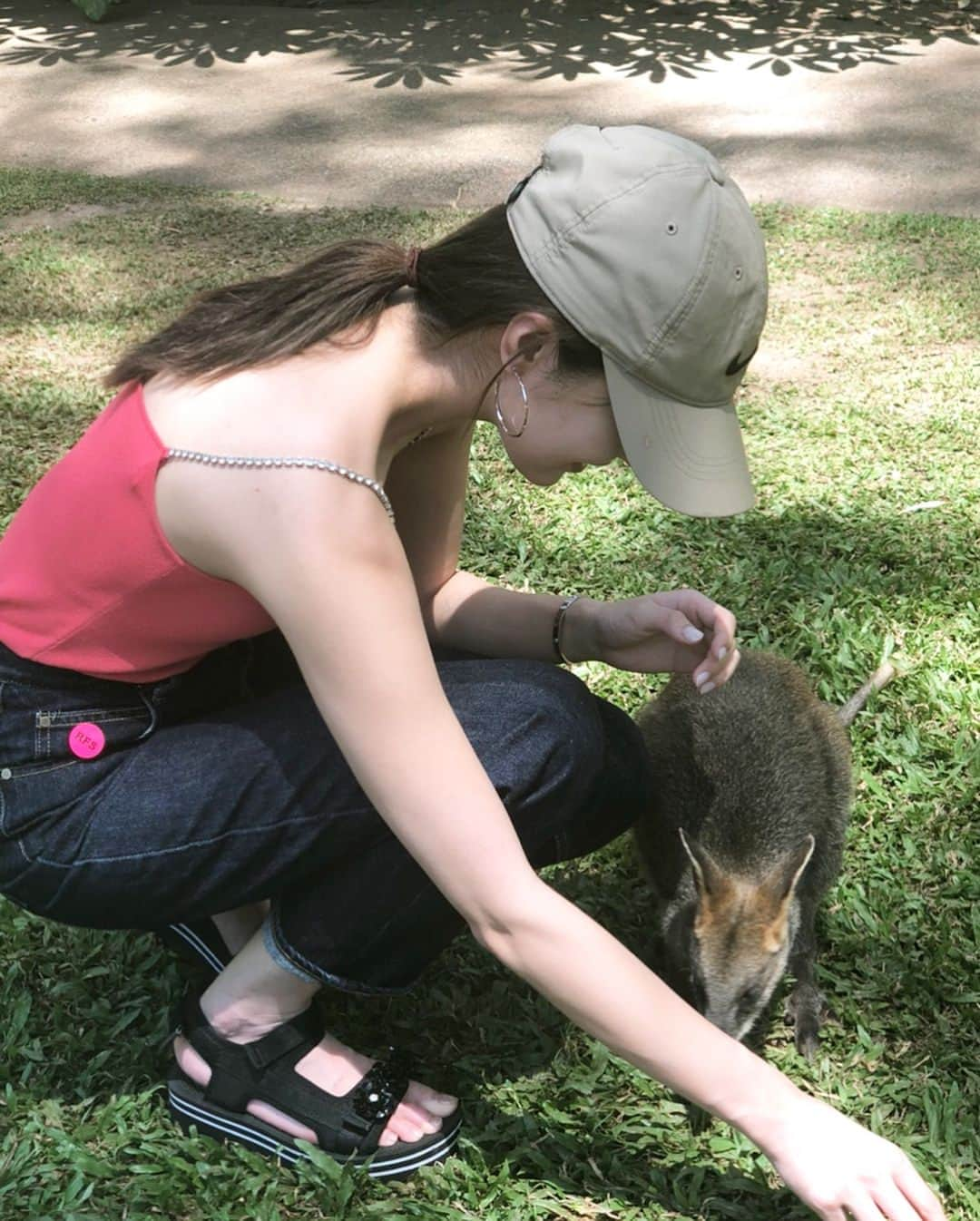 大石絵理さんのインスタグラム写真 - (大石絵理Instagram)「Playing with baby kangaroos❤️ #animallover」1月3日 16時26分 - erioishitokyo