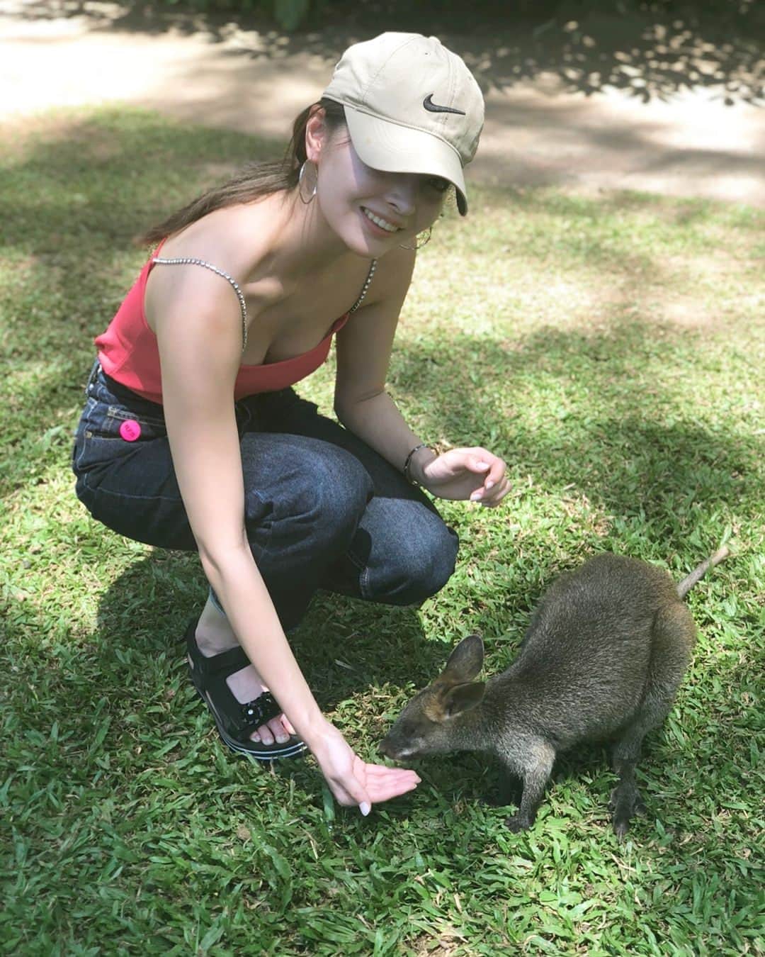 大石絵理のインスタグラム：「Playing with baby kangaroos❤️ #animallover」