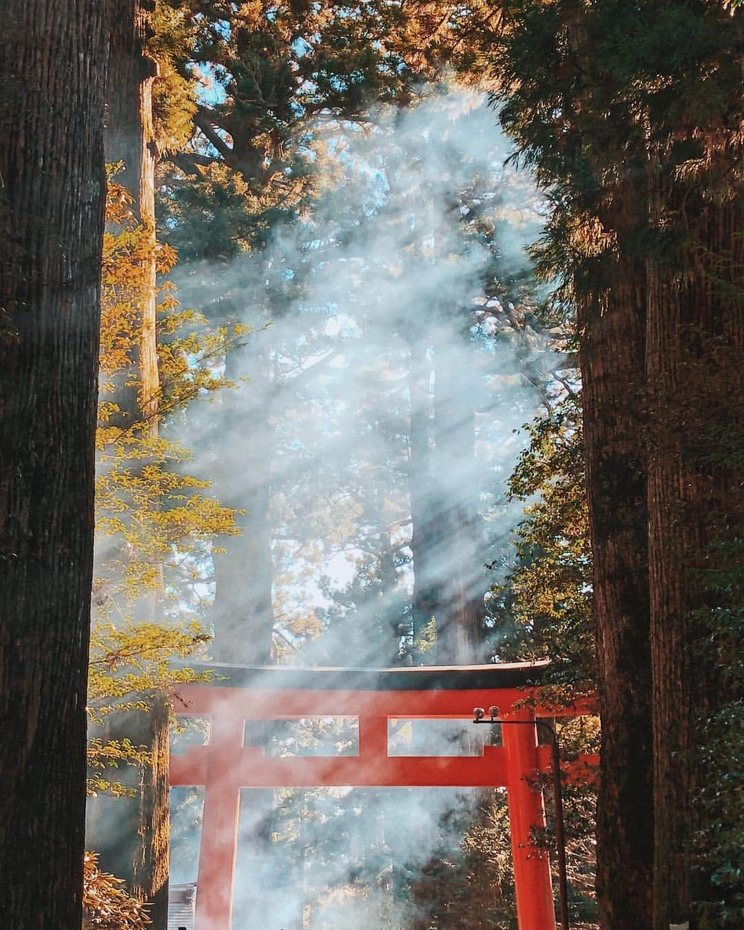福田洋昭のインスタグラム：「Japan is where my heart is ⛩️」