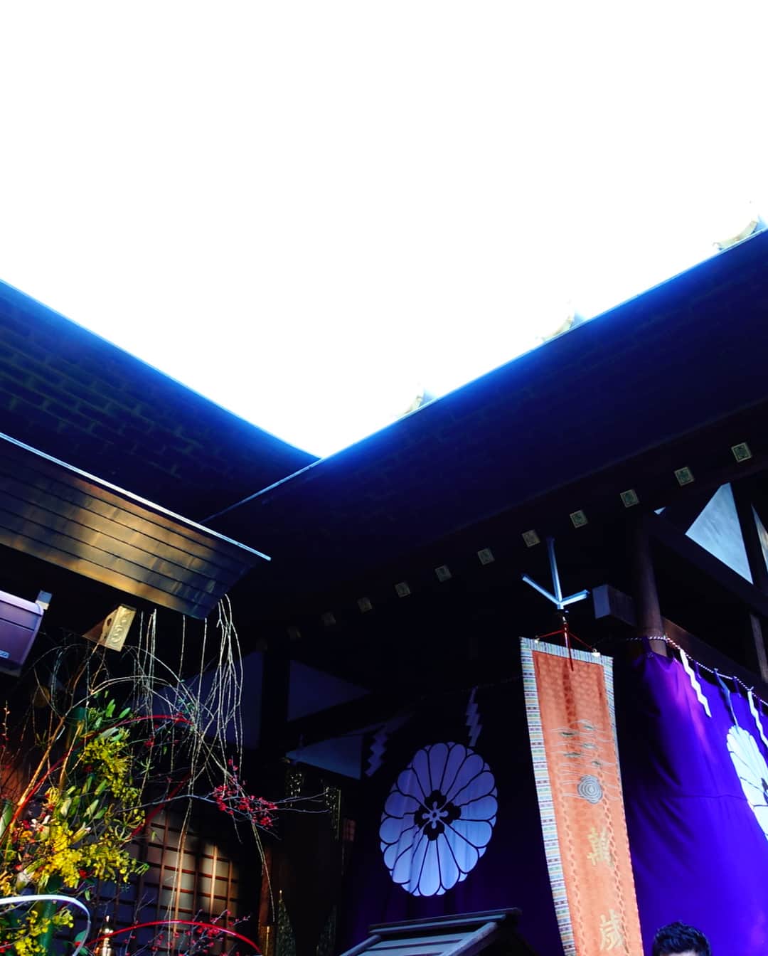 辰巳奈都子さんのインスタグラム写真 - (辰巳奈都子Instagram)「#初詣 に行ってきました😊 #おみくじ は…良くも悪くもなく。 皆さんはどうでしたでしょうか？ 健康に一年過ごせればそれだけでありがたいです。  #東京 #東京大神宮  #神宮  #飯田橋 #お正月  #三が日」1月3日 22時43分 - tatsumi_natsuko