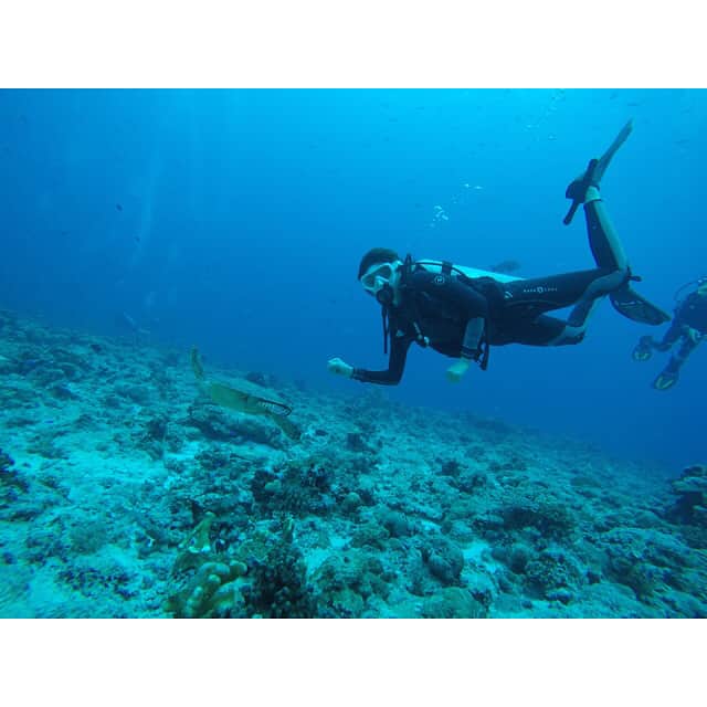 鈴木ちなみさんのインスタグラム写真 - (鈴木ちなみInstagram)「Diving in Palau🇵🇼 🐢🐠💕 The beautiful sea&sun🇵🇼 #palau#diving#holiday  #ちなみたび」1月4日 16時04分 - chinami_suzuki0926