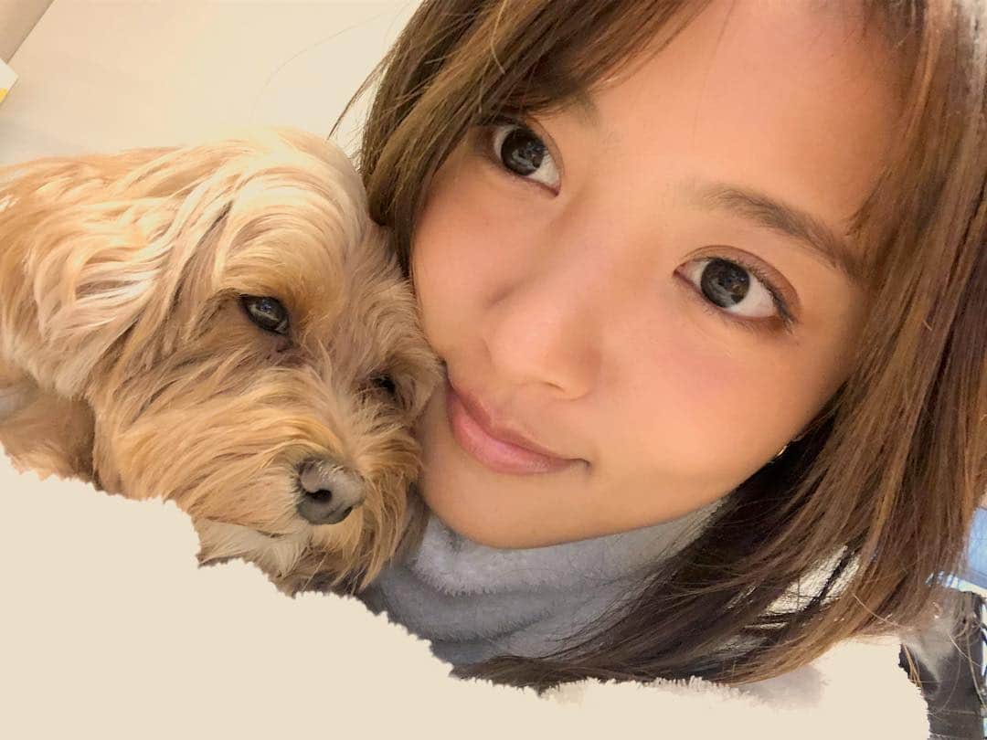 夏菜さんのインスタグラム写真 - (夏菜Instagram)「笑ってはいけないのコメントの数がすごい！ありがたや😂🎊 うれしはずかしですわほんと。笑 でも出るの夢だったので😭👏✨✨ 嬉しいです🙌💚 ありがとうございます😚 今年もいいご報告がたくさんありますのでお楽しみにー🤩」1月4日 19時11分 - natsuna_official