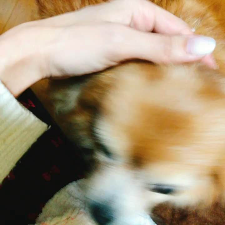 真麻のインスタグラム