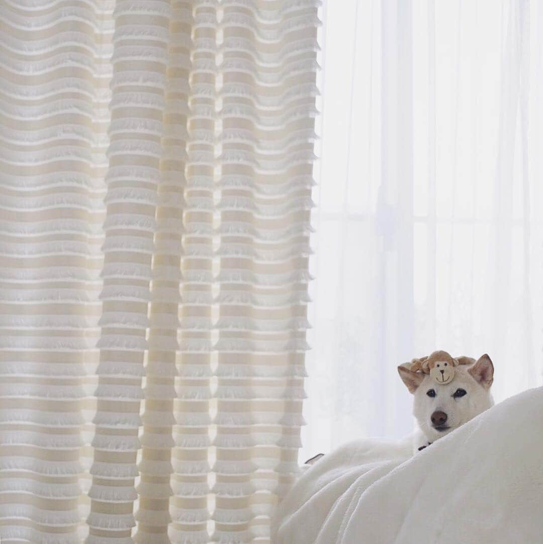 さくぽて（高垣麗子）のインスタグラム