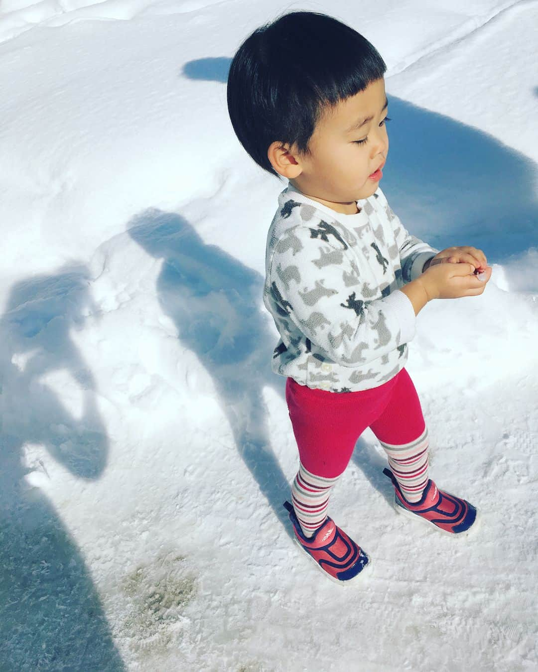 あびる優さんのインスタグラム写真 - (あびる優Instagram)「よつ葉ちゃん2歳8ヶ月🙂❣️ 冬休みでの変化はいつも以上に食欲旺盛になり🐷 甥っ子とまるで兄妹の様に生活していたのでお兄ちゃんの影響で細かいレゴブロックを器用に扱えるようになったり、絵も（何を描いてるかは分かりませんが）レパートリーが増えました👩🏻‍🎨✨ 初めての雪に触れ合ったり、雪を見て「マミー、カキ氷いっぱいね？☺️🍧」と嬉しそうにしていました。 そして、友人のお店で人生初めてのカラオケ体験もさせて頂き、楽しそうに歌って踊ってました🙂🎤🎶 これからも色々な事を経験して成長して欲しいな。。😊❣️ #family#myfriends#daughter#clover#love#cute#fun#snow#2018#trip#video#家族#友達#娘#愛娘#四葉のクローバー#愛しい#かわいい#癒し#活発#冬休み#雪#雪遊び#カラオケデビュー#2歳8ヶ月」1月5日 17時24分 - yuabiru74