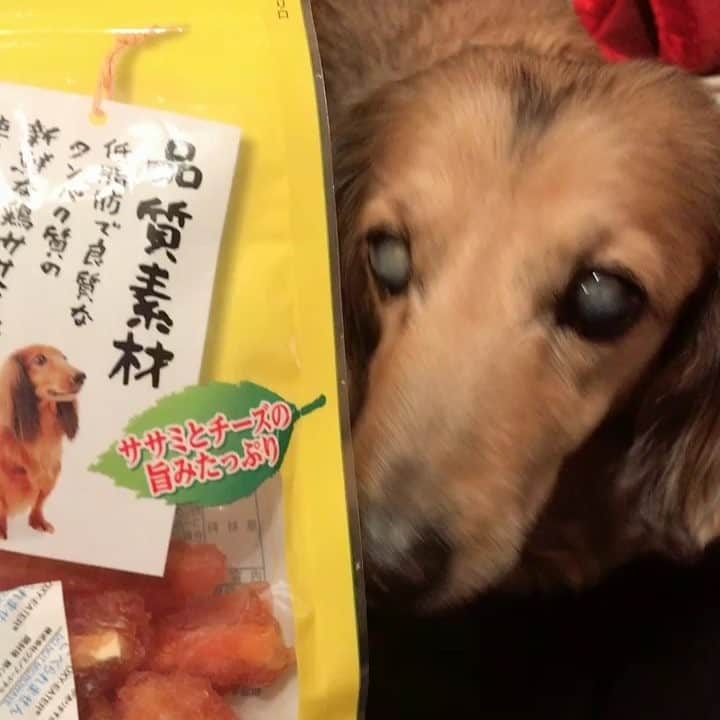 浜田由梨のインスタグラム