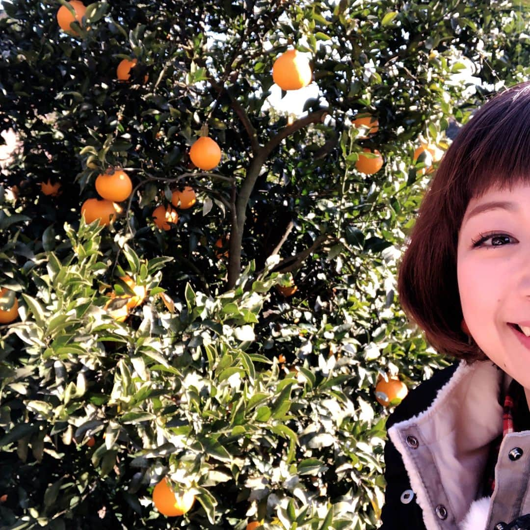 小雪さんのインスタグラム写真 - (小雪Instagram)「早朝からとある撮影してます🍊 山の空気最高でーす🤗🤗 #自然さいこー #2枚目は深呼吸している鼻の穴←」1月6日 11時52分 - koyuki2